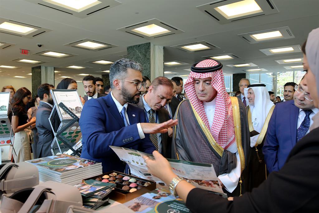 إشادة يمنية وعالمية بجهود المملكة التنموية