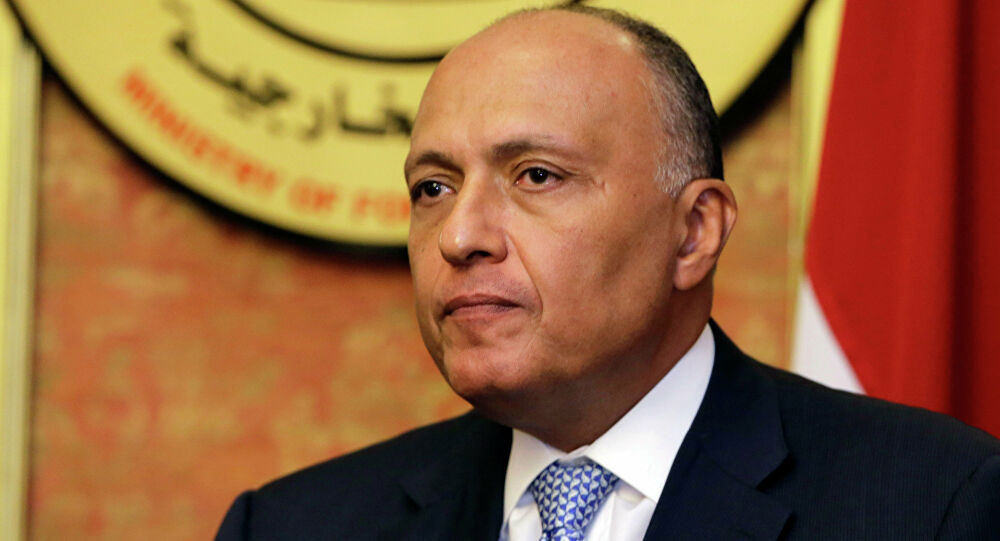وزير خارجية مصر يعدد متطلبات اتفاق المصالحة الخليجية