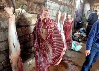 أوجه الشبه بين لحم كباب سيد جابر وانتخاب هؤلاء المكررين