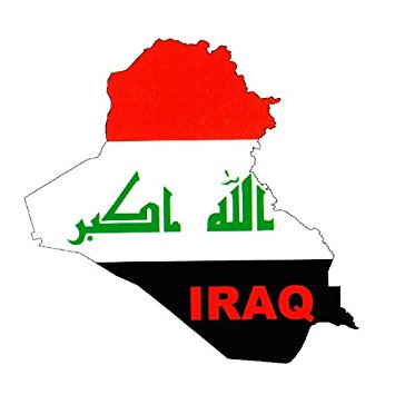 العراق يبدي الاستعداد لتقديم خبراته الأمنية لمصر ودول المنطقة