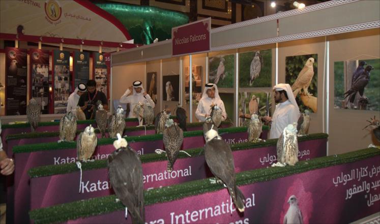 معرض كتارا للصيد والصقور.. تراث وثقافة