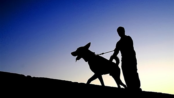 حكاية من الزمن الجميل ” من كلب الى بيك…!