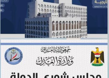 مجلس شورى الدولة ووزارة الخارجية