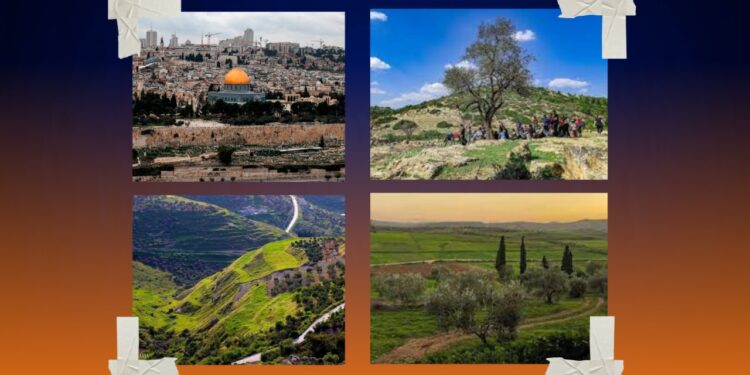 فلسطين جنة الأرض.. أما آن لأمتنا أن تتأهب