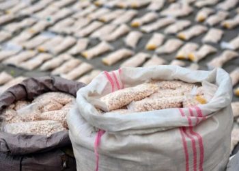 إيران تترنح: سوريا تُحطم شبكات التهريب وتُعمق مأزق النظام