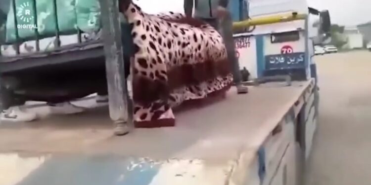 العراق بلد العجائب والغرائب “نقل مصاب بواسطة شاحنة كرين”