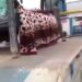 العراق بلد العجائب والغرائب “نقل مصاب بواسطة شاحنة كرين”