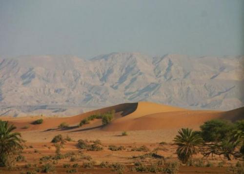 هزتان أرضيتان تضربان جنوب البحر الميت