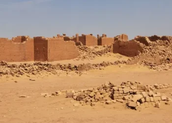 “إنسان سنجة” و”أبو حجر” اكتشاف علمي يهز السودان