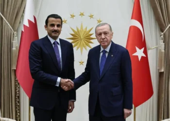 “إردوغان وتميم” يبحثان في أنقرة التطورات في سوريا والمنطقة