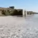 بحر من الأسماك النافقة يصدم العراقيين.. ماذا يجري في البصرة؟