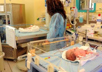هل قام الإسرائيليون البغيضون فعلاً بفصل الأمهات الفلسطينيات عن أطفالهن؟