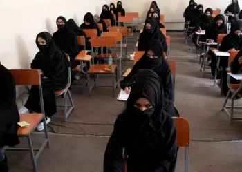 بعد التعليم.. طالبان تحرم نساء أفغانستان من العمل