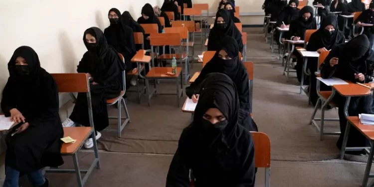 بعد التعليم.. طالبان تحرم نساء أفغانستان من العمل