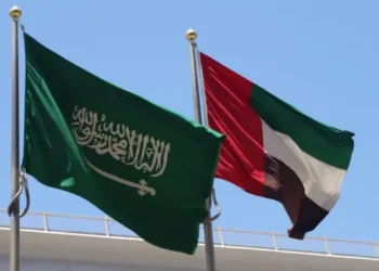 دولة الامارات تشكر السعودية على خلفية حادثة “فلاي دبي”
