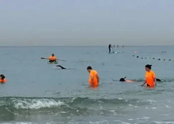إسرائيل تبحث عن “هاتف المدعية العامة العسكرية المفقود” في البحر