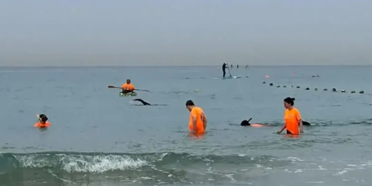 إسرائيل تبحث عن “هاتف المدعية العامة العسكرية المفقود” في البحر