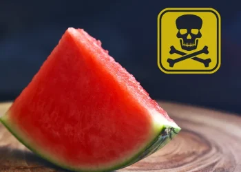 “خطأ شائع” يمكن أن يسبب التسمم عند تناول البطيخ!