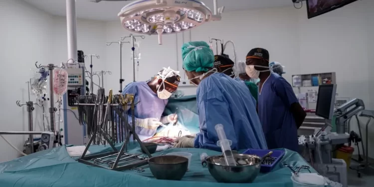 التبرع بالأعضاء يعود للواجهة في مصر بعد دعوة من إلهام شاهين