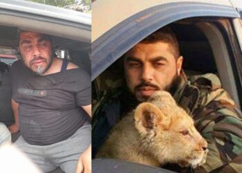 ما حقيقة اعتقال الدقاق الذي أطعم أسوده “لحم المعتقلين”