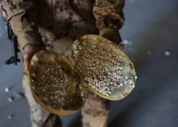 سقوط «دولة الكبتاغون الأسدية» التي موَّلت سطوته على سوريا (صور)