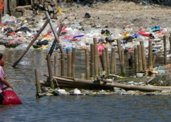 سيدة أعمال إندونيسية تعالج جبالاً من النفايات البلاستيكية في جاكرتا