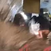 بالفيديو.. باب طائرة ينفتح فجأة وسط هلع الركاب في الجو