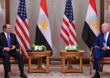 وول ستريت جورنال: مصر رفضت طلبا أمريكيا لإغلاق مجالها الجوي أمام الطيران الروسي