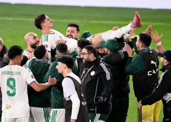 الجزائر تعيش نشوة الهدف القاتل الذي سجله “بولبينة” في مرمى الكونغو