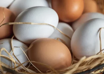 بينها البيض والبطاطا الحلوة.. أطعمة خارقة قد تحسن البصر