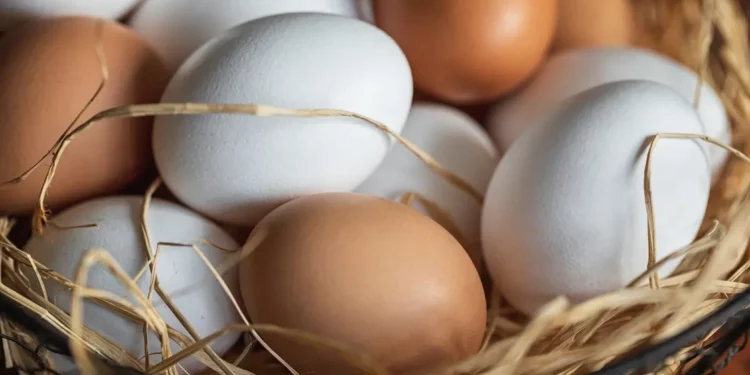 بينها البيض والبطاطا الحلوة.. أطعمة خارقة قد تحسن البصر
