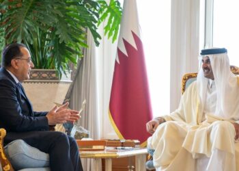 الشيخ تميم بن حمد يوجه رسالة للسيسي وللمصريين حول الاستثمارات القطرية