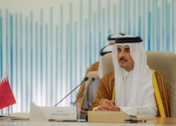 المتحدث باسم الرئاسة المصرية يكشف حقيقة مغادرة أمير قطر لـ”قمة القاهرة للسلام” (فيديو)
