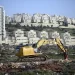 كاتب فلسطيني : جرائم التطهير الصهيونية تجري تحت غطاء امريكي