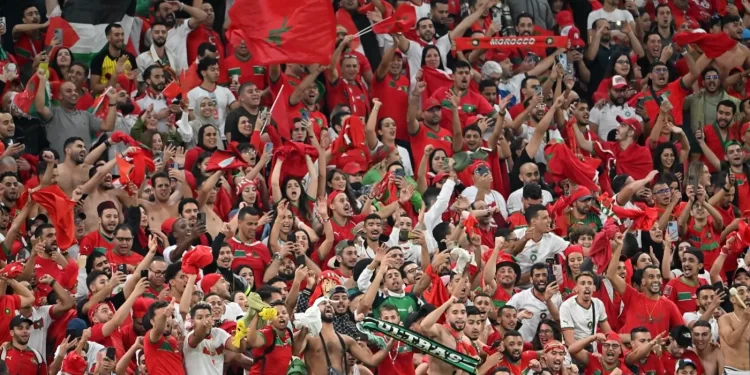 دعما لأسود الأطلس في نصف النهائي.. رحلات إضافية إلى قطر