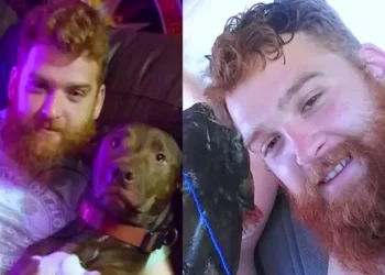 “حادثة غريبة”.. كلب يطلق النار على صاحبه السائق ويقتله!