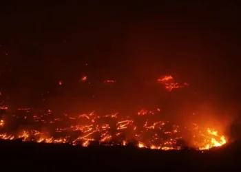 تحذيرات من خطورة الوضع بعد الحرائق الجديدة بريف الساحل السوري