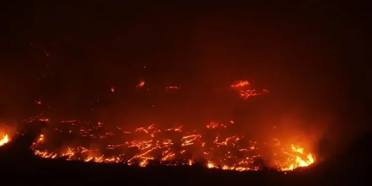 تحذيرات من خطورة الوضع بعد الحرائق الجديدة بريف الساحل السوري