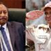 “حميدتي” في الميدان و”حمدوك” في الحكومة.. معادلة تحقق مصالح الإمارات