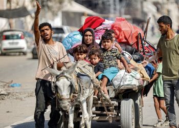تحت غطاء “الرفق بالحيوان”!.. إسرائيل تنقل مئات الحمير من غزة