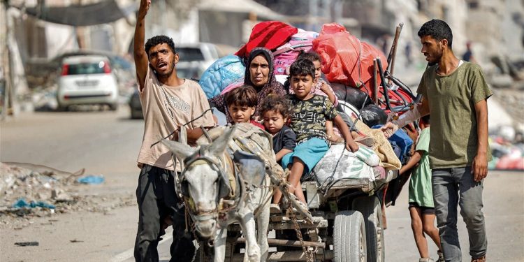 تحت غطاء “الرفق بالحيوان”!.. إسرائيل تنقل مئات الحمير من غزة
