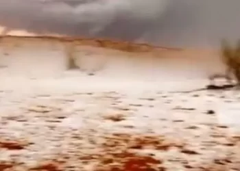 برَد يحول رمال السعودية لحبّات لؤلؤ.. فيديو يخطف القلوب