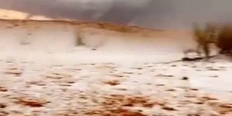 برَد يحول رمال السعودية لحبّات لؤلؤ.. فيديو يخطف القلوب