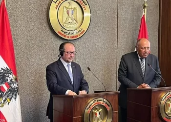 شكري: تعليق العملية السياسية تسبب باضطرابات في ليبيا