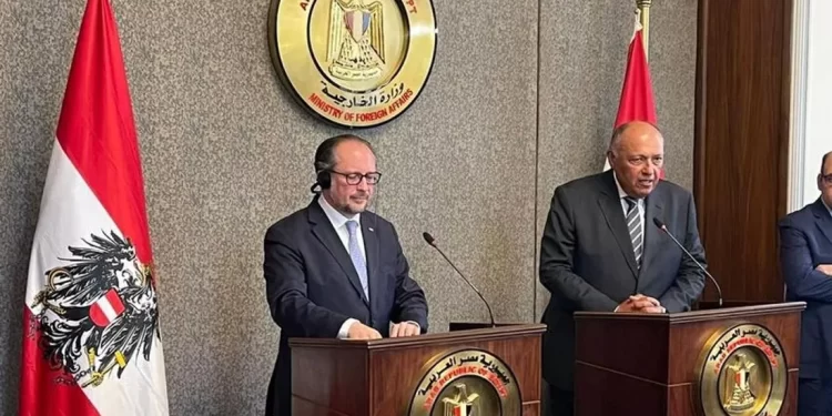 شكري: تعليق العملية السياسية تسبب باضطرابات في ليبيا