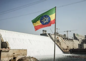 ترامب يكشف سرا عن غباء تمويل سد النهضة