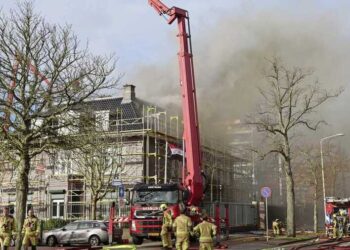 عصفورة الخارجية العراقية تكشف طلاسم حرق سفارتها في هولندا