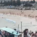 استراليا تستيقظ على هجوم إرهابي بشاطئ سيدني.. يقتل 12 شخصاً