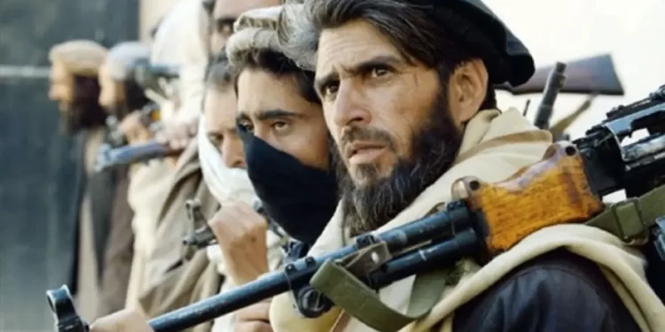 تقرير أممي: تنظيم القاعدة يعيد بناء قواعده في أفغانستان