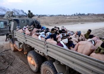 صحيفة إسبانية: اعتقال الفلسطينيين عراة يحيل إلى أحلك لحظات صعود النازية في ألمانيا ومعتقلات بينوشيه في تشيلي- (فيديو وصور)